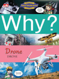 WHY? DRONE