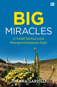 Big Miracles