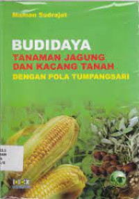 Budidaya Tanaman Jagung Dan kacang Tanah Dengan Pola Tumpangsari