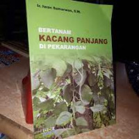 Bertanam Kacang Panjang Di Halaman